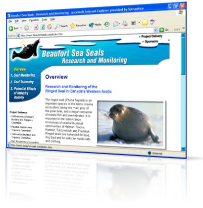 Beaufort Sea Seals