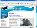 Beaufort Sea Seals