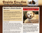 Alberta Labradoodle Breeder